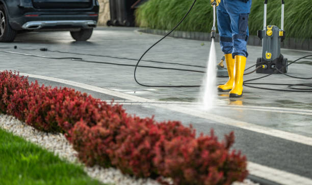 Best Roof Pressure Washing  in Choccolocco, AL