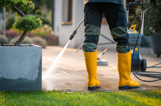 Best Pressure Washing Siding  in Choccolocco, AL